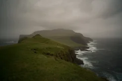 The Islands and the Whales