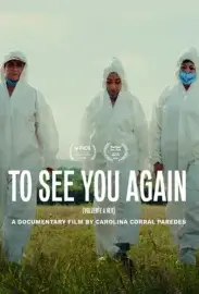 To See You Again (Volverte a ver)